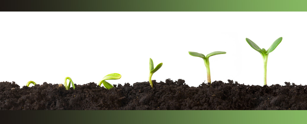Taverny innovation environnement