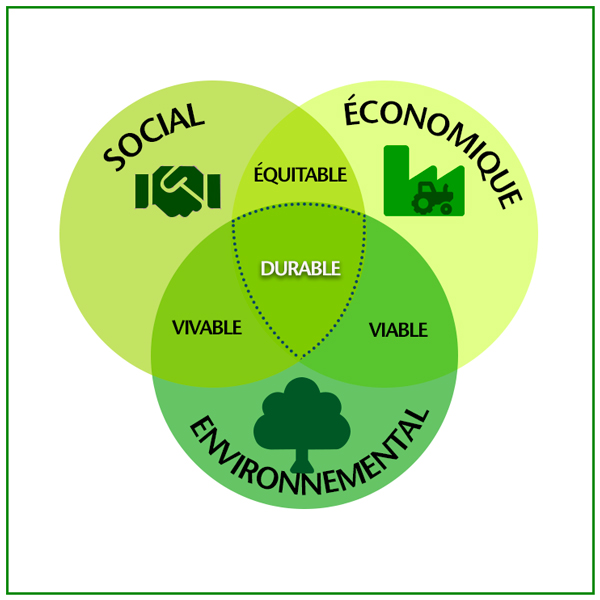 les trois piliers du développement durable